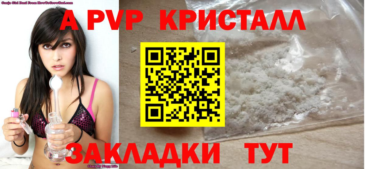 A PVP VHQ Гай
