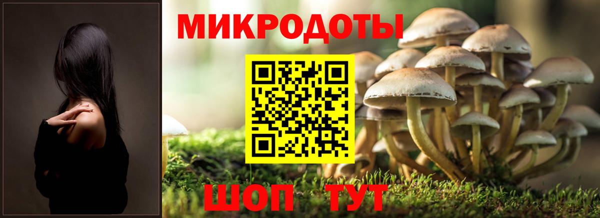хочу наркоту  Вход с VPN  Гай  Псилоцибиновые грибы Magic Shrooms 