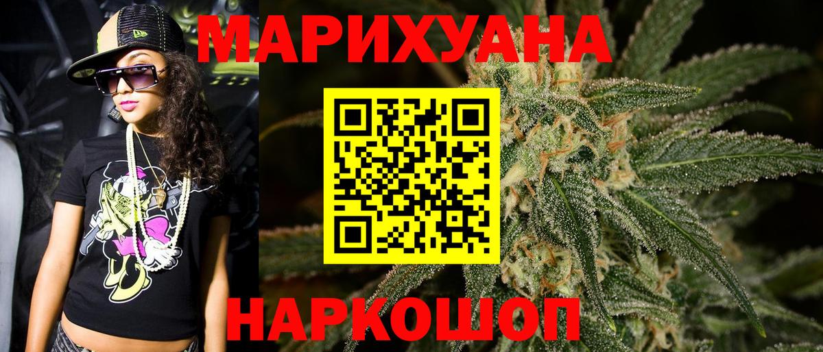 Марихуана конопля Гай